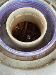 Contaminated coolant bulb in VW GTI