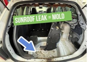 Discover the causes of sunroof leaks in VW and Audi vehicles, how to spot the signs early, and the best solutions to prevent costly water damage.